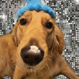 小光头山口诚吃雪糕
