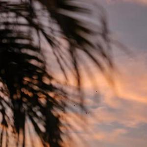 小光头山口诚吃雪糕
