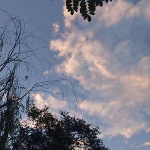 小光头山口诚吃雪糕
